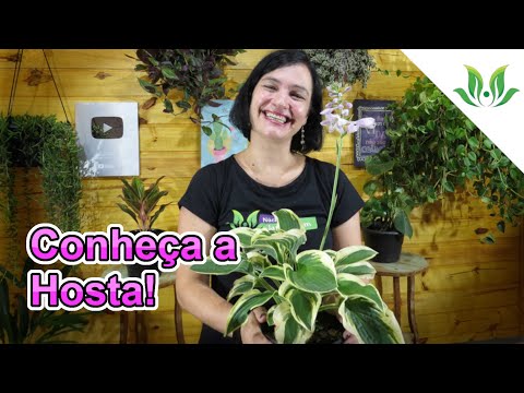 Vídeo: Hosta Plants - Dicas sobre o cuidado com Hostas