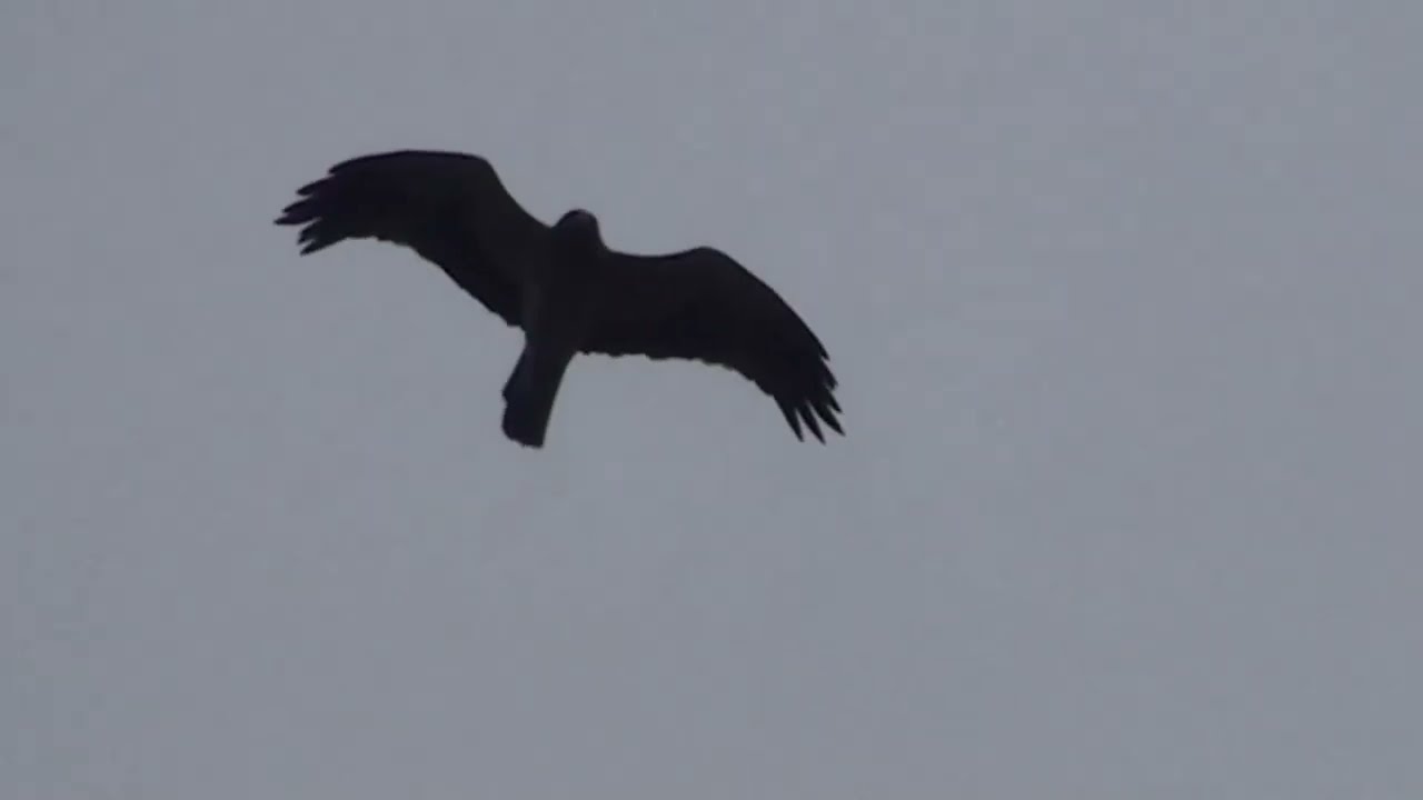 Ты никак не уймешься?! - YouTube