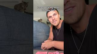 My Cat Lives Better Than I Do