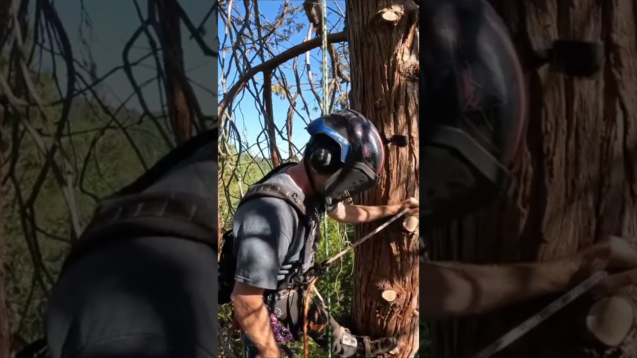 Makita chainsaw only Complaint