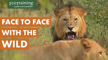 Heartfelt Wildlife Encounters | The Ecotourism Field Guide Chronicles | EcoTraining