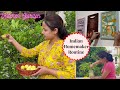 A day in Life of a Indian Homemaker |   Kitchen Garden | No-cost Kitchen Decor | Urban Rasoi