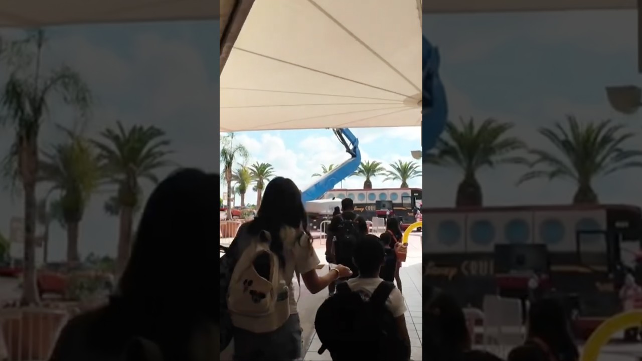 Boarding the Disney transfer bus to the Disney Treasure #disney #disneycruise