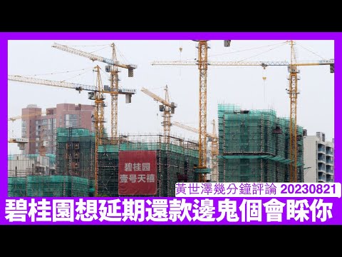 碧桂園九月到期私募債成三十九億人仔本金想延期 問題係無政府擔保邊個陪你玩? 政府介入好可能係直接幫韭菜維穩 你無槍無炮都唔好旨意收到數 黃世澤幾分鐘評論 20230821 Episode cover