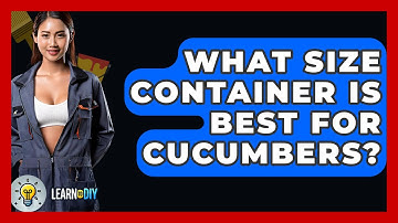 What Size Container Is Best For Cucumbers? - LearnToDIY360.com