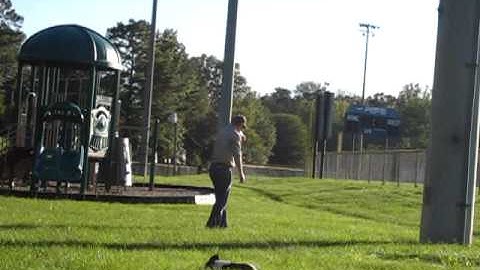 KM Modified Olt Duck Calling