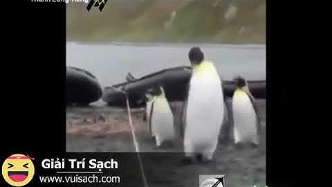 Hài động vật lồng tiếng by Thánh Lồng Tiếng Cute