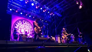 Mad Caddies - Backyard live at Bay Fest 2018