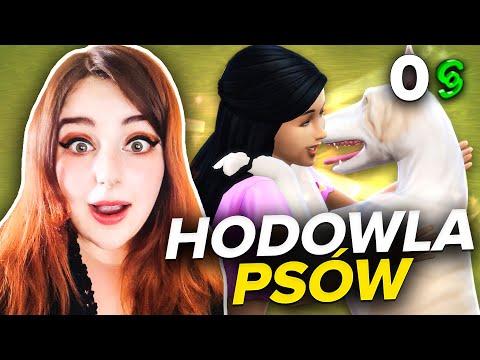 Wideo: Swery Ujawnia Rozgrywkę Swojej Tajemnicy Morderstwa Opartego Na Kotach The Good Life