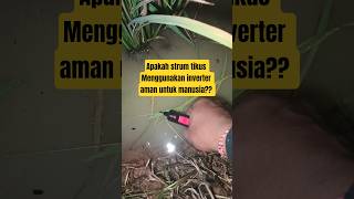 Strum Tikus Menggunakan Inverter Apakah Aman Ubtuk Mia??
