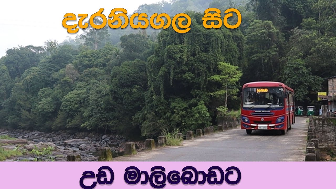 දැරනියගල සිට උඩ මාලිබොඩට ශ්‍රී ලංගම බස් එකෙන් | Uda Maliboda Bus