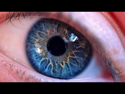 Vidéo: La Couleur De L'iris De L'œil Peut-elle Changer En Fonction De L'humeur? - Vue Alternative