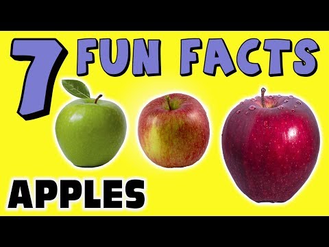 7 FUN FACTS ABOUT APPLES! APPLE FACTS FOR KIDS! Granny Smith! Fuji! Learning Colors! Sock Puppet!
