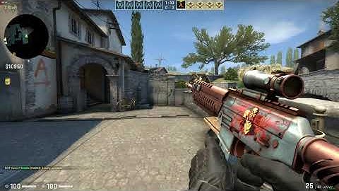 CS GO Sticker Too Old for This with SG 553 Ol