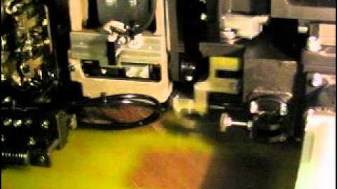 Jumper wire insertion