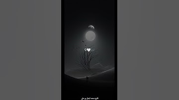 #راحة_نفسية |القارئ محمد اجمل بن علي|سورة الغاشية