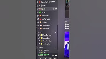THE BEST FIVEM LEAKS DISCORD SERVERS + Preview