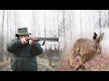 Hunting Serbia - Hare hunting in Vojvodina | Lov zeca Čenta - Vojvodina | Caccia al coniglio