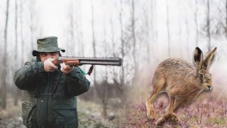 Hunting Serbia - Hare hunting in Vojvodina | Lov zeca Čenta - Vojvodina | Caccia al coniglio