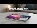 Apple iPad Mini M5 Leaks: OLED Display &amp; A19 Chip Confirmed?