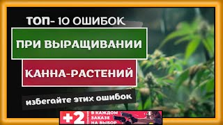 ТОП-10 ОШИБОК ПРИ ВЫРАЩИВАНИИ КОНОПЛИ | СЕМЕНА КОНОПЛИ - СЕМЯНЫЧ