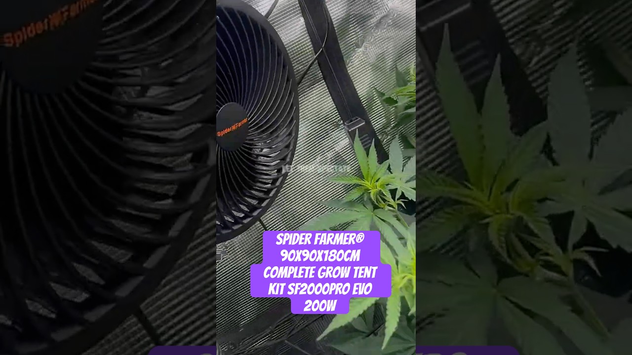 Spider Farmer® 90X90X180cm Complete Grow Tent Kit SF2000PRO EVO 200W  