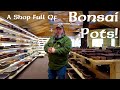 A shop full of bonsai pots  greenwood bonsai