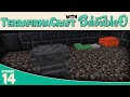 Minecraft Terrafirmacraft Blacksmith