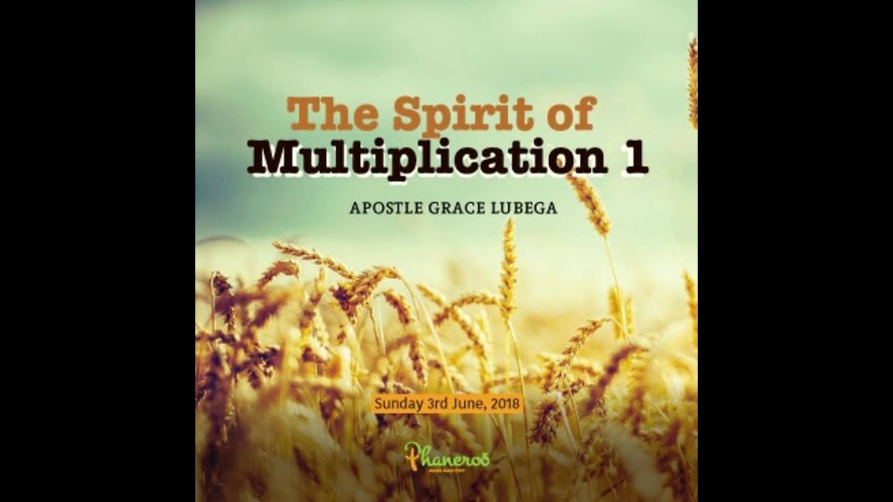The Spirit of Multiplication 1