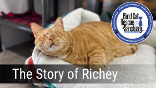 The Story of Richey