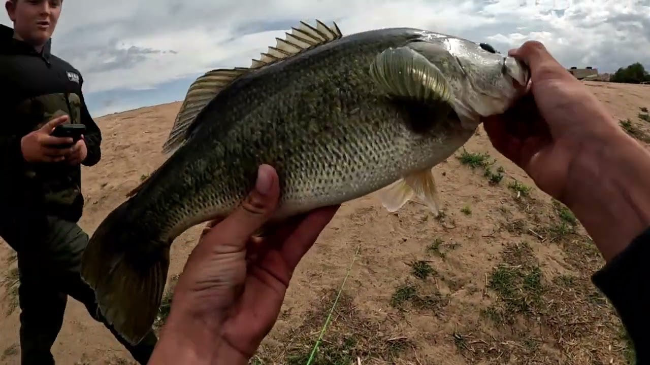 Post Spawn Bass Fishing