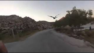 So Free.webm