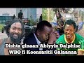 Dishta Gina Tariku Gangisi Abiyyiin Salphise Wbn Ariifachaara Galaanaan Deenaa Dalage Dishta Gina Tariku Gangisi Abiyyiin Salphise Wbn Ariifachaara Galaanaan Deenaa Dalage