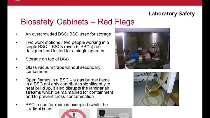 Lab Safety Part II   2