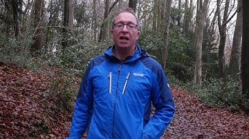 Make a Jesse Tree: Advent at home