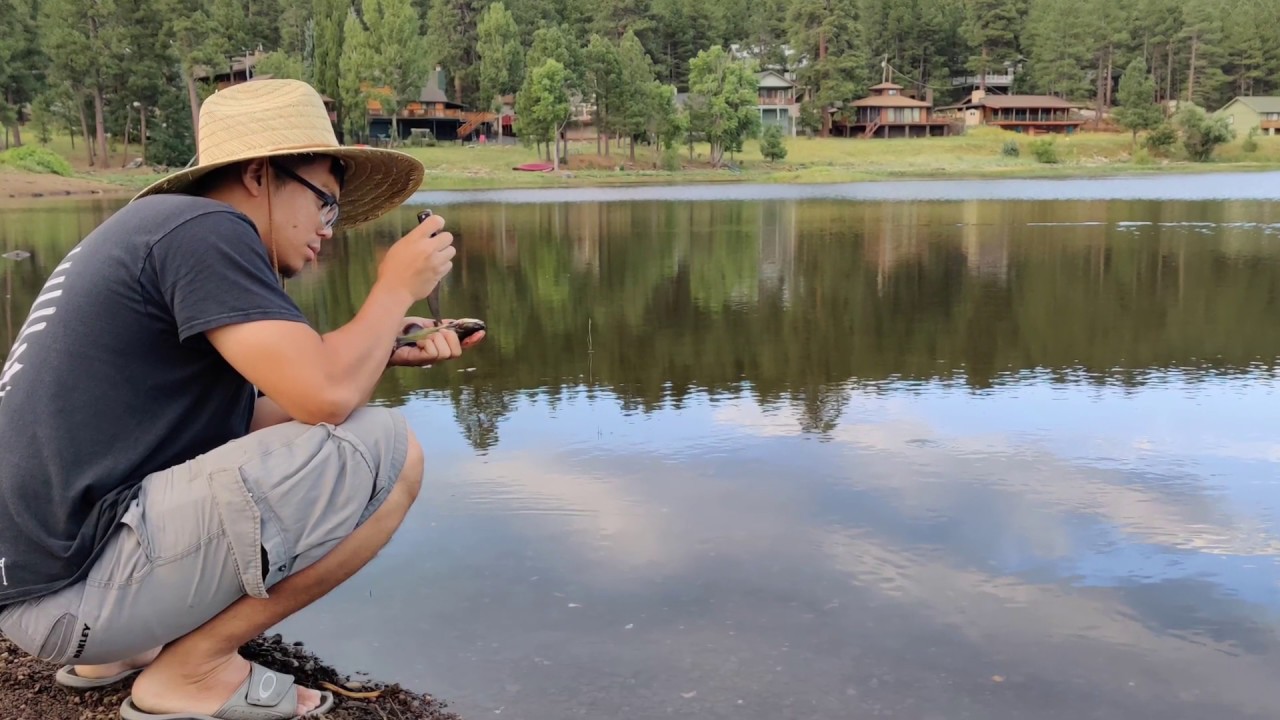 O'Dell Lake of Munds Park