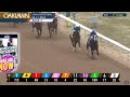 Kentucky Derby 2022 Contenders: Zozos