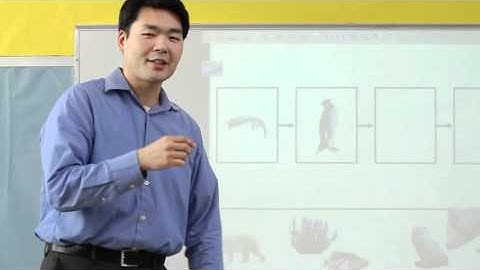 Wireless Tablet - MimioPad, Backbone Communications