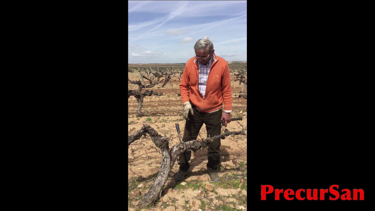 PRECURSAN Y LA YESCA, ABRIL 2018