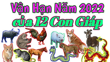 Vận Hạn Năm 2022 của Tuổi TÝ SỬU DẦN MÃO THÌN TỴ NGỌ MÙI THÂN DẬU TUẤT HỢI @Luangiai12congiap