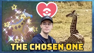 Shiny Chosen One Girafarig at the Zoo | 6 Shinies | Birthday Quest