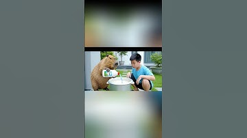 Capy cùng anh giúp bà nấu cơm và cái kết #capybara