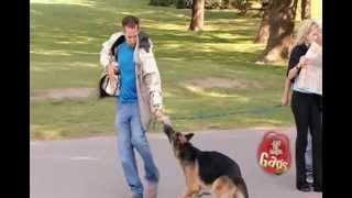 JFL Hidden Camera Pranks \& Gags: Dog Eat Dog