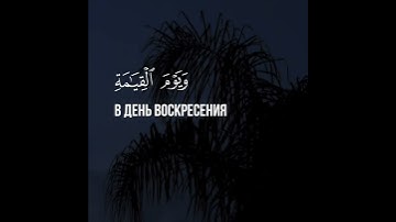 Красивое чтение Мухаммад аль-Люхайдан, Сура 35. Фатыр, аяты 13-15
