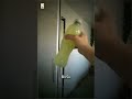 ОТКУДА брать силы по утрам? #shorts