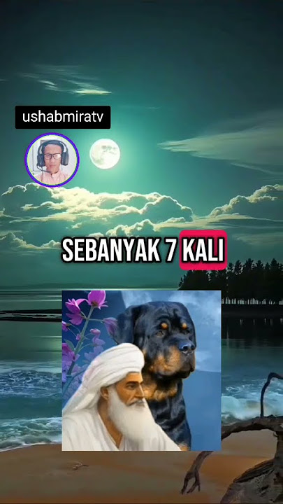 senajisnya mulut anjing masih dapat dicuci dengan air sebanyak 7 kali #shorts