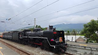 4666次仲夏寶島號池上站進站（CT273)