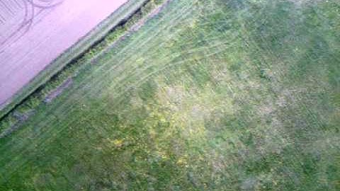 Swift 2 Flying Wing with FlyCamOne2