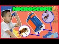 Learn about BUGS under A Microscope! Science for Kids! Stemkids Microscope Review