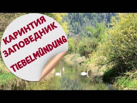 Video: Slidinėjimo Architektai